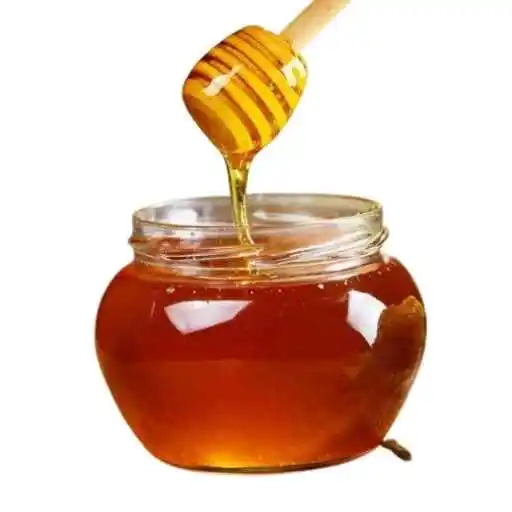 Honey (মধু)