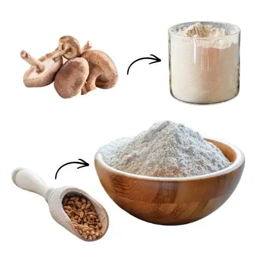 Mushroom (মাশরুম)