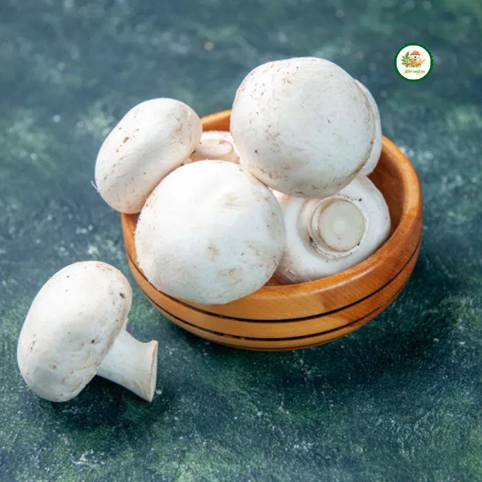 Dry Button Mushroom | শুকনো বাটন মাশরুম Dry Button Mushroom