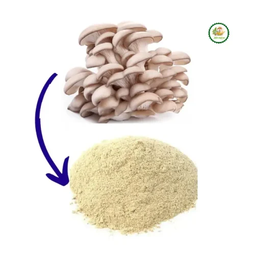 Oyster Mushroom Powder