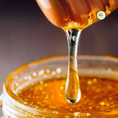 Sundarban Natural Honey