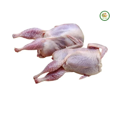 দেশি মুরগি